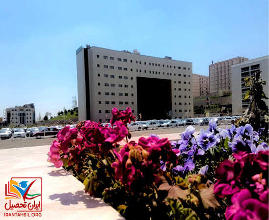 آیا امکان تحصیل خانم ها در این دانشگاه وجود دارد؟