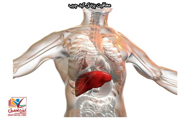 معافیت دستگاه گوارش