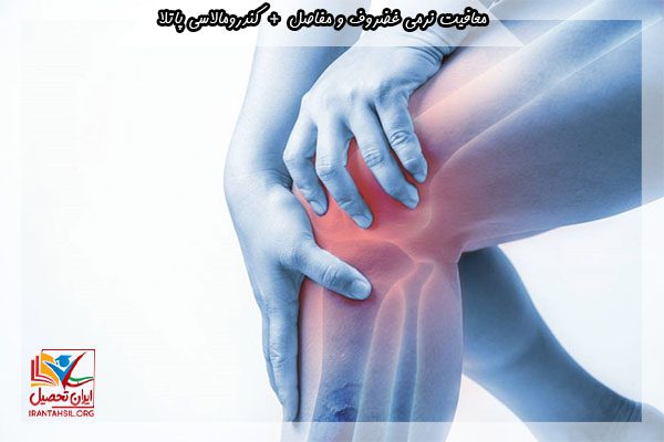 کندرومالاسی پاتلا