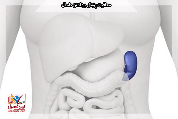 معافیت پزشکی دستگاه گوارش