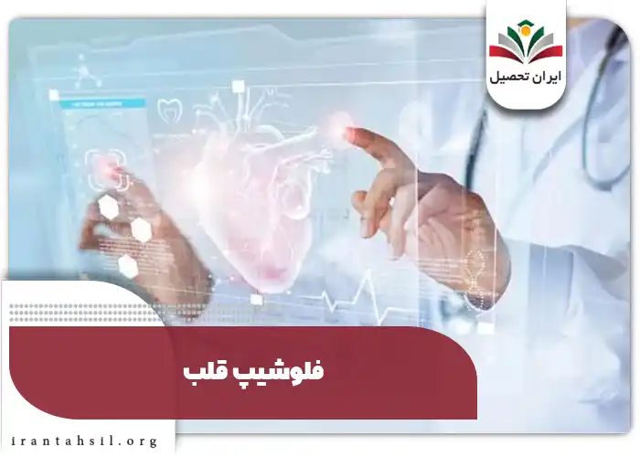 فلوشیپ قلب